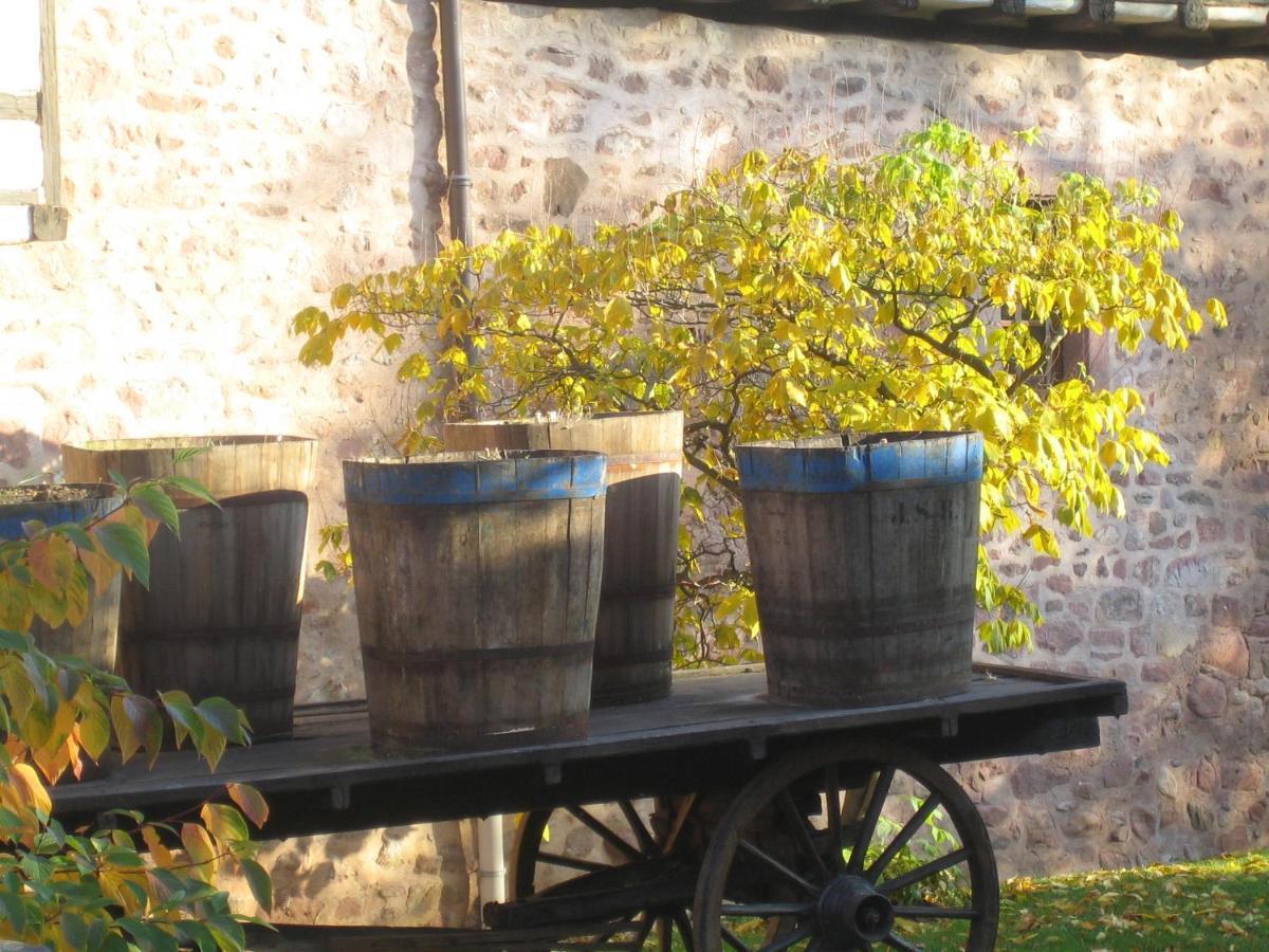 Les Hortensias Sainte-Marie-aux-Mines Exteriör bild