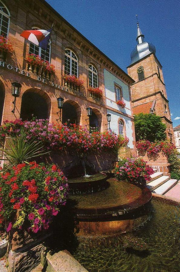 Les Hortensias Sainte-Marie-aux-Mines Exteriör bild