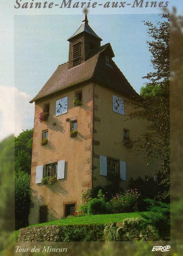 Les Hortensias Sainte-Marie-aux-Mines Exteriör bild